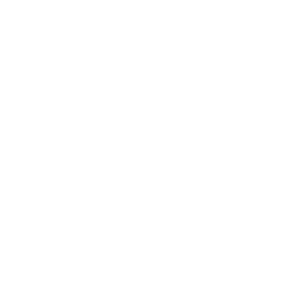 Icon showing chess piece