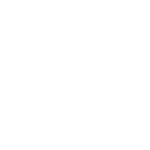 Icon showing shield with padlock